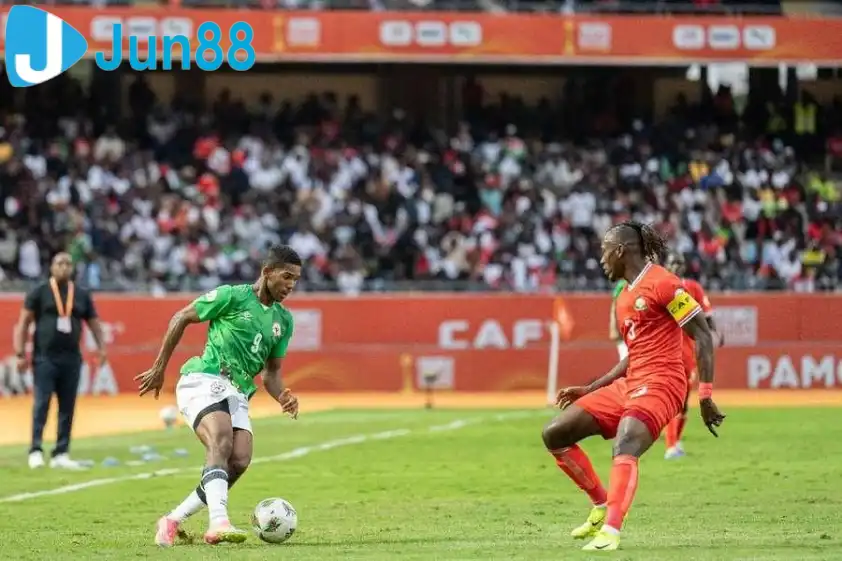 Paro được đánh giá cao hơn rất nhiều