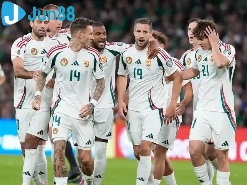 Hungary quyết tâm để có được tấm vé dự World Cup Hungary quyết tâm để có được tấm vé dự World Cup
